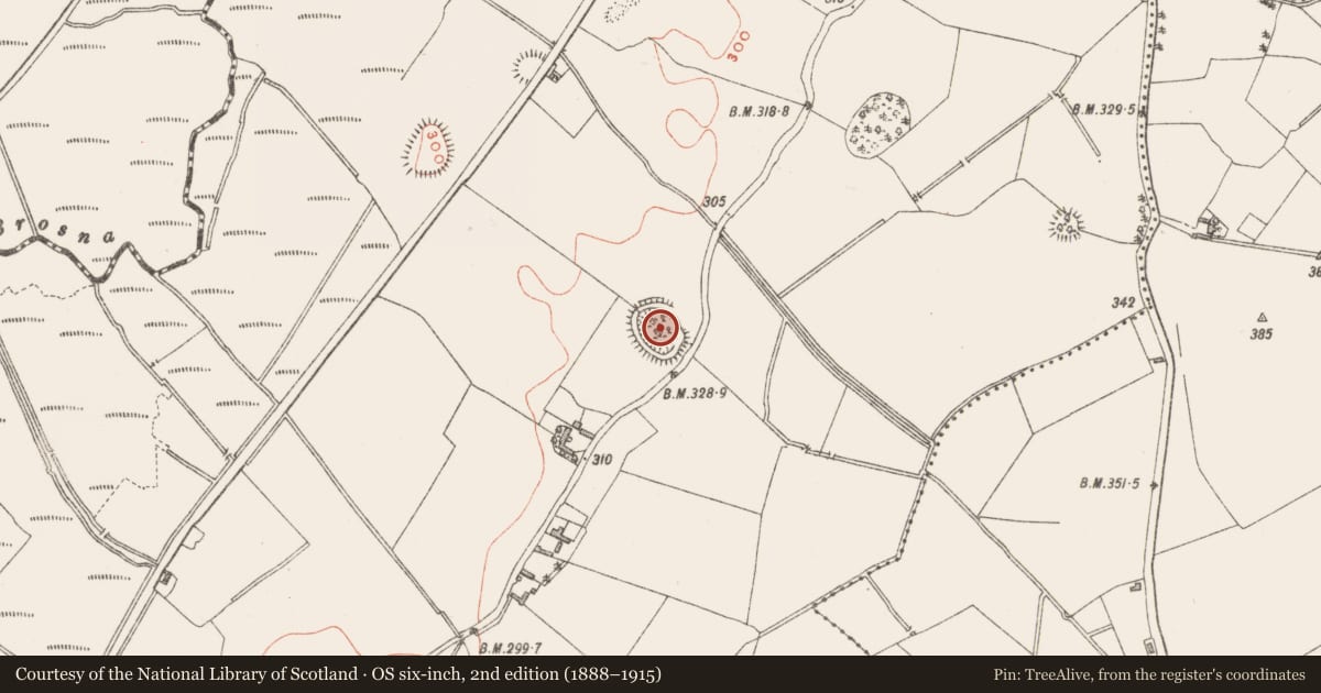 Ordnance Survey six-inch map, 2nd edition (1888–1915) covering the location of Ringfort - rath, Lynn, County Westmeath, with a pin at the register's coordinates