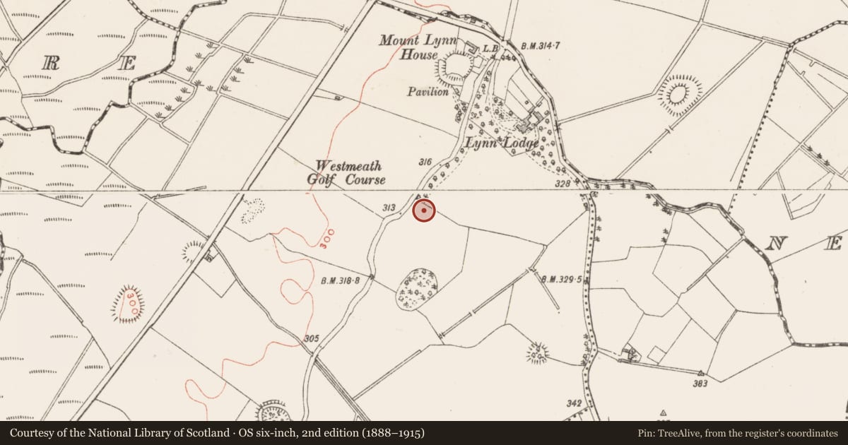Ordnance Survey six-inch map, 2nd edition (1888–1915) covering the location of Designed landscape - tree-ring, Lynn, County Westmeath, with a pin at the register's coordinates