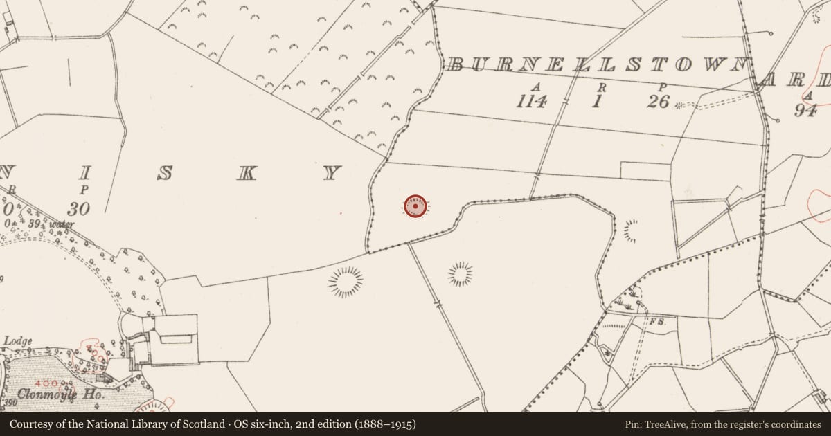 Ordnance Survey six-inch map, 2nd edition (1888–1915) covering the location of Ringfort - rath, Burnellstown, County Westmeath, with a pin at the register's coordinates