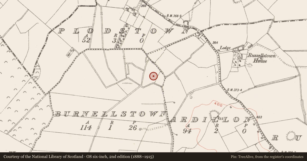Ordnance Survey six-inch map, 2nd edition (1888–1915) covering the location of Ringfort - rath, Burnellstown, County Westmeath, with a pin at the register's coordinates