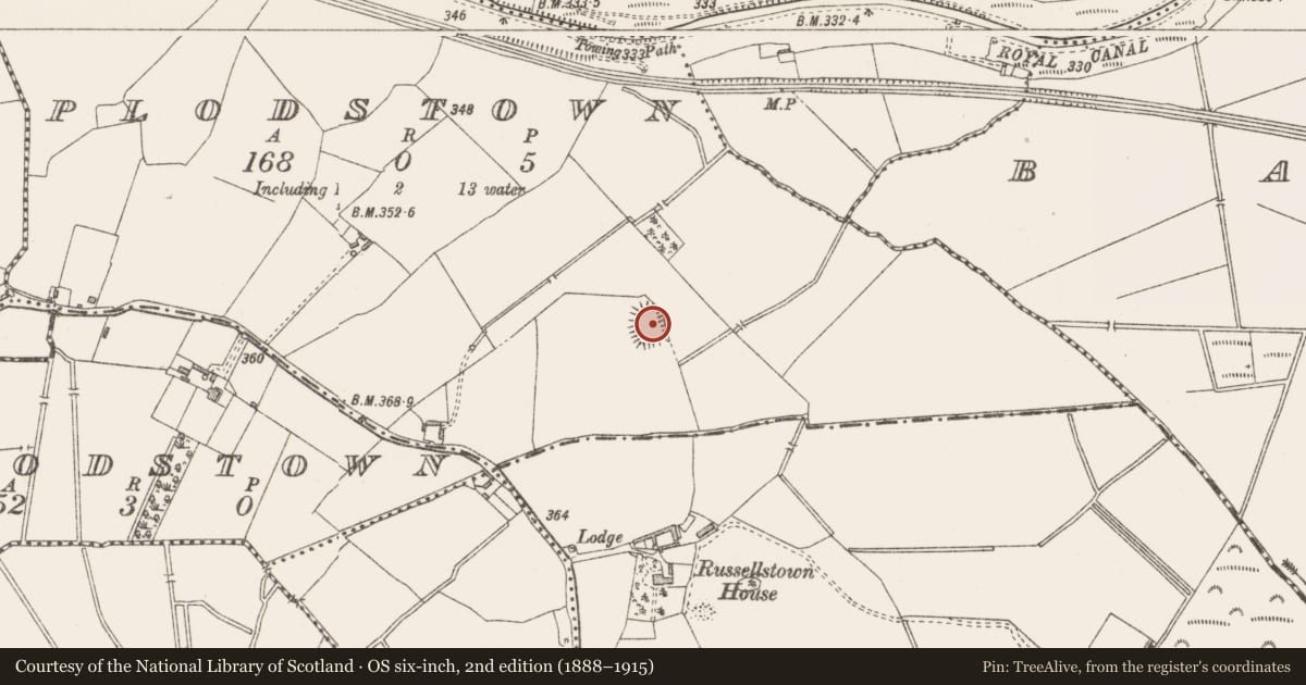 Ordnance Survey six-inch map, 2nd edition (1888–1915) covering the location of Ringfort - rath, Plodstown, County Westmeath, with a pin at the register's coordinates