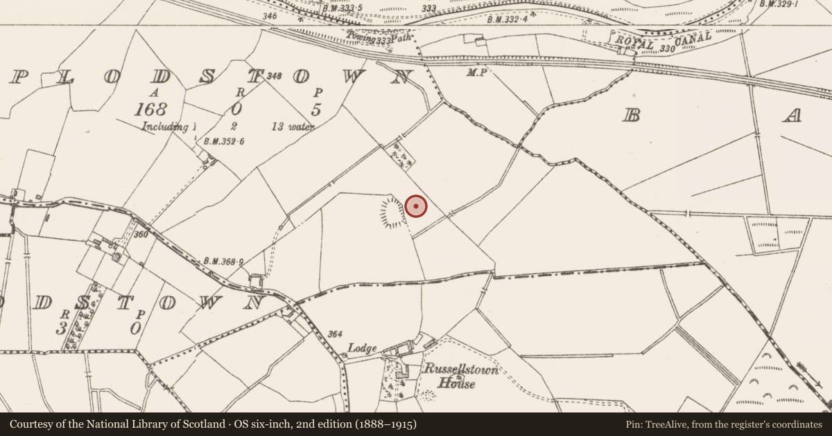 Ordnance Survey six-inch map, 2nd edition (1888–1915) covering the location of Moated site, Plodstown, County Westmeath, with a pin at the register's coordinates