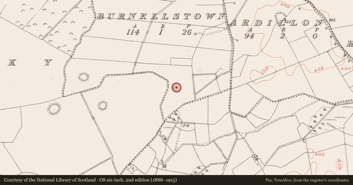 Ordnance Survey six-inch map, 2nd edition (1888–1915) covering the location of Ringfort - rath, Burnellstown, County Westmeath, with a pin at the register's coordinates