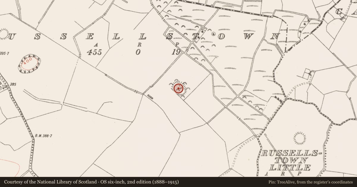 Ordnance Survey six-inch map, 2nd edition (1888–1915) covering the location of Ringfort - rath, Russellstown, County Westmeath, with a pin at the register's coordinates
