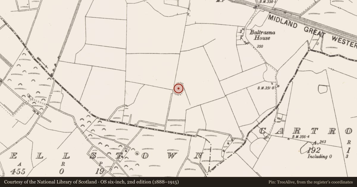 Ordnance Survey six-inch map, 2nd edition (1888–1915) covering the location of Ringfort - rath, Baltrasna, County Westmeath, with a pin at the register's coordinates