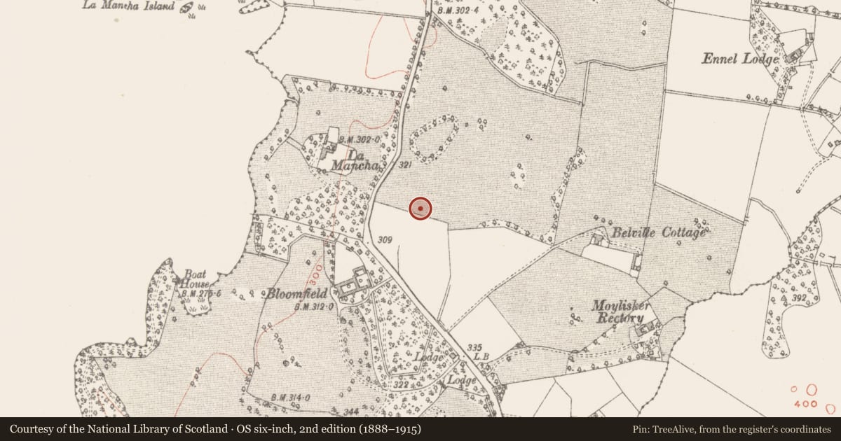 Ordnance Survey six-inch map, 2nd edition (1888–1915) covering the location of Enclosure, Lynn, County Westmeath, with a pin at the register's coordinates