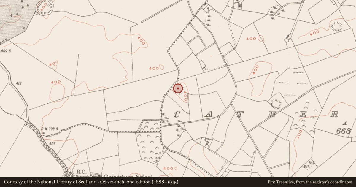 Ordnance Survey six-inch map, 2nd edition (1888–1915) covering the location of Ringfort - rath, Catherinestown, County Westmeath, with a pin at the register's coordinates