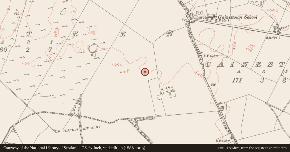 Ordnance Survey six-inch map, 2nd edition (1888–1915) covering the location of Ringfort - rath, Gorteen, County Westmeath, with a pin at the register's coordinates