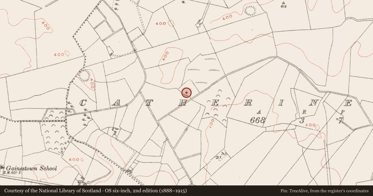 Ordnance Survey six-inch map, 2nd edition (1888–1915) covering the location of Ringfort - rath, Catherinestown, County Westmeath, with a pin at the register's coordinates