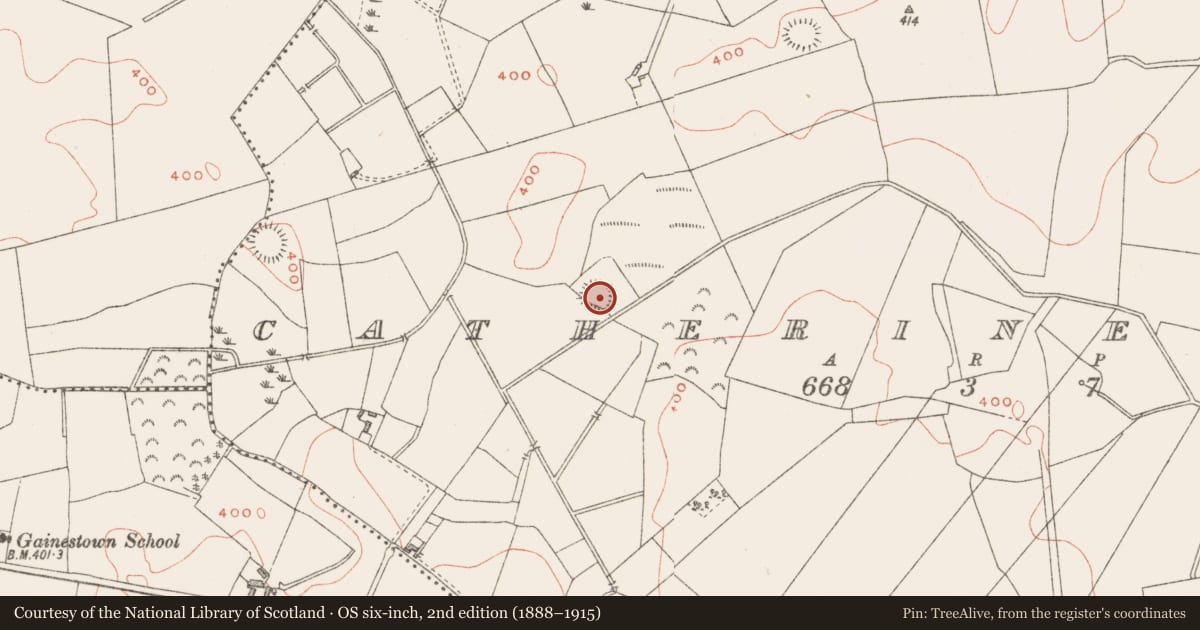 Ordnance Survey six-inch map, 2nd edition (1888–1915) covering the location of Hut site, Catherinestown, County Westmeath, with a pin at the register's coordinates