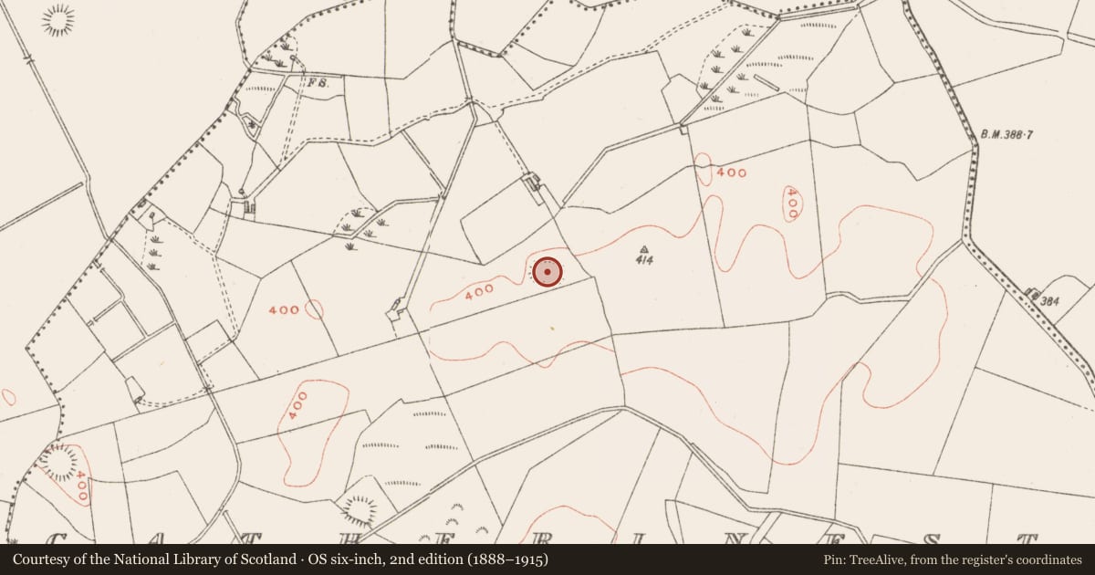 Ordnance Survey six-inch map, 2nd edition (1888–1915) covering the location of Ringfort - rath, Catherinestown, County Westmeath, with a pin at the register's coordinates