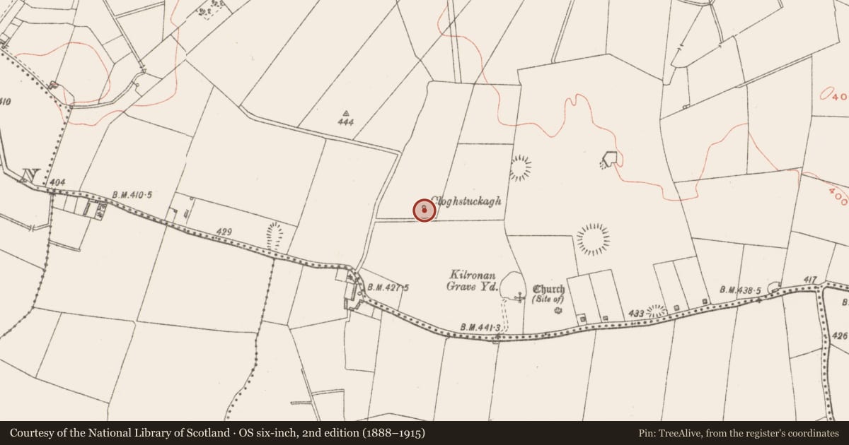 Ordnance Survey six-inch map, 2nd edition (1888–1915) covering the location of Standing stone, Catherinestown, County Westmeath, with a pin at the register's coordinates