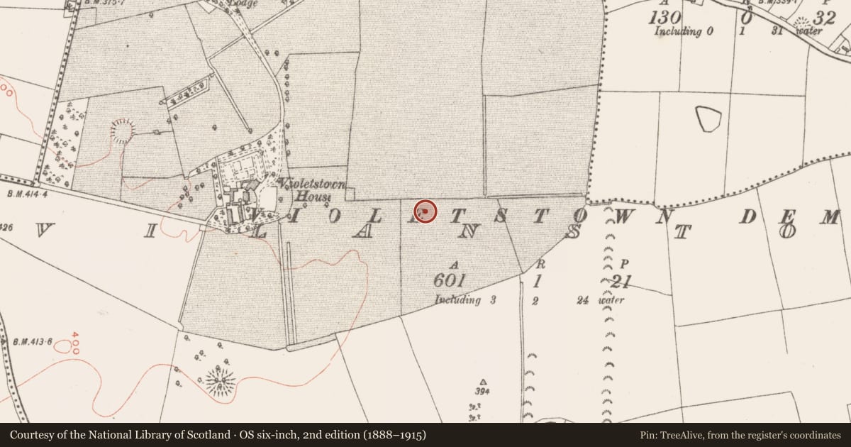 Ordnance Survey six-inch map, 2nd edition (1888–1915) covering the location of Ringfort - rath, Vilanstown, County Westmeath, with a pin at the register's coordinates