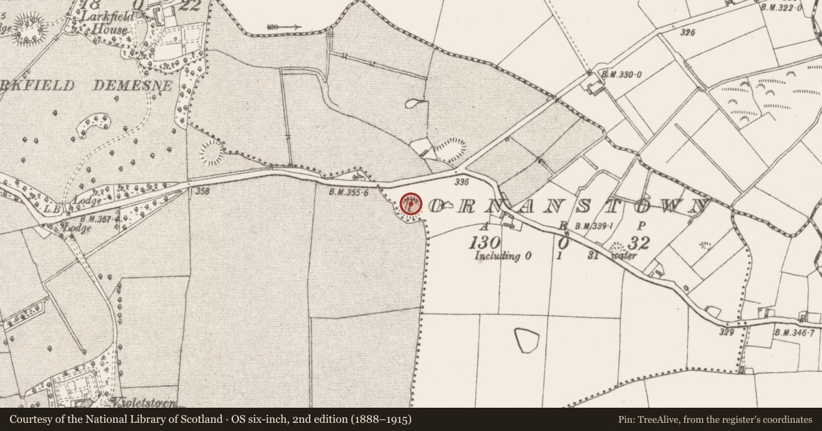 Ordnance Survey six-inch map, 2nd edition (1888–1915) covering the location of Ringfort - rath, Tornanstown, County Westmeath, with a pin at the register's coordinates