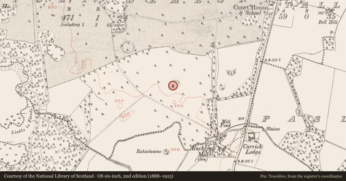 Ordnance Survey six-inch map, 2nd edition (1888–1915) covering the location of Ringfort - rath, Rochfort Demesne, County Westmeath, with a pin at the register's coordinates