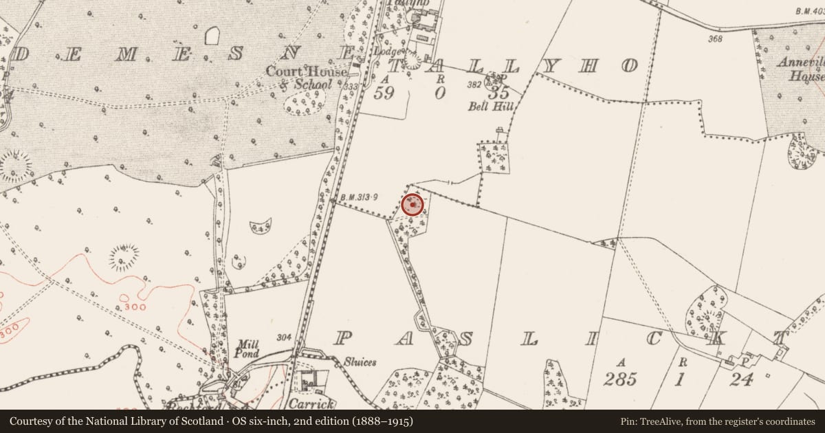 Ordnance Survey six-inch map, 2nd edition (1888–1915) covering the location of Ringfort - rath, Paslicktown, County Westmeath, with a pin at the register's coordinates