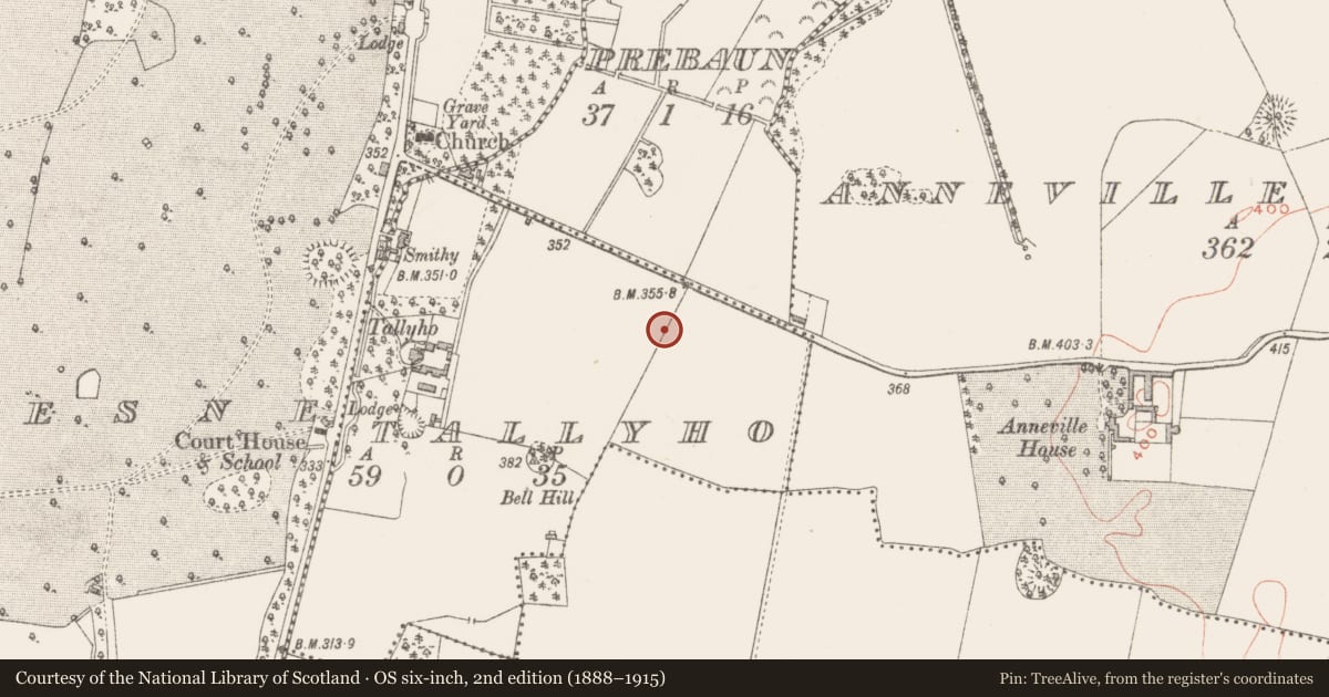 Ordnance Survey six-inch map, 2nd edition (1888–1915) covering the location of Ringfort - rath, Tallyho, County Westmeath, with a pin at the register's coordinates