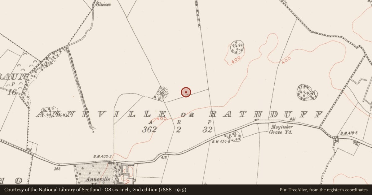 Ordnance Survey six-inch map, 2nd edition (1888–1915) covering the location of Building, Anneville Or Rathduff, County Westmeath, with a pin at the register's coordinates