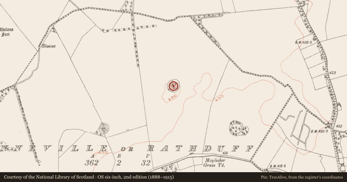 Ordnance Survey six-inch map, 2nd edition (1888–1915) covering the location of Ringfort - rath, Anneville Or Rathduff, County Westmeath, with a pin at the register's coordinates