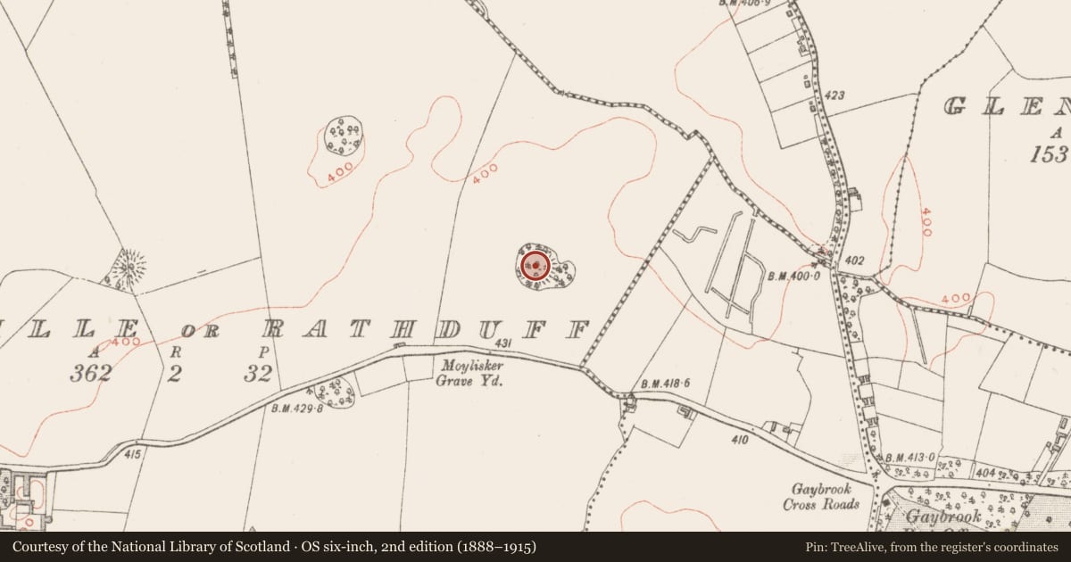 Ordnance Survey six-inch map, 2nd edition (1888–1915) covering the location of Ringfort - rath, Anneville Or Rathduff, County Westmeath, with a pin at the register's coordinates