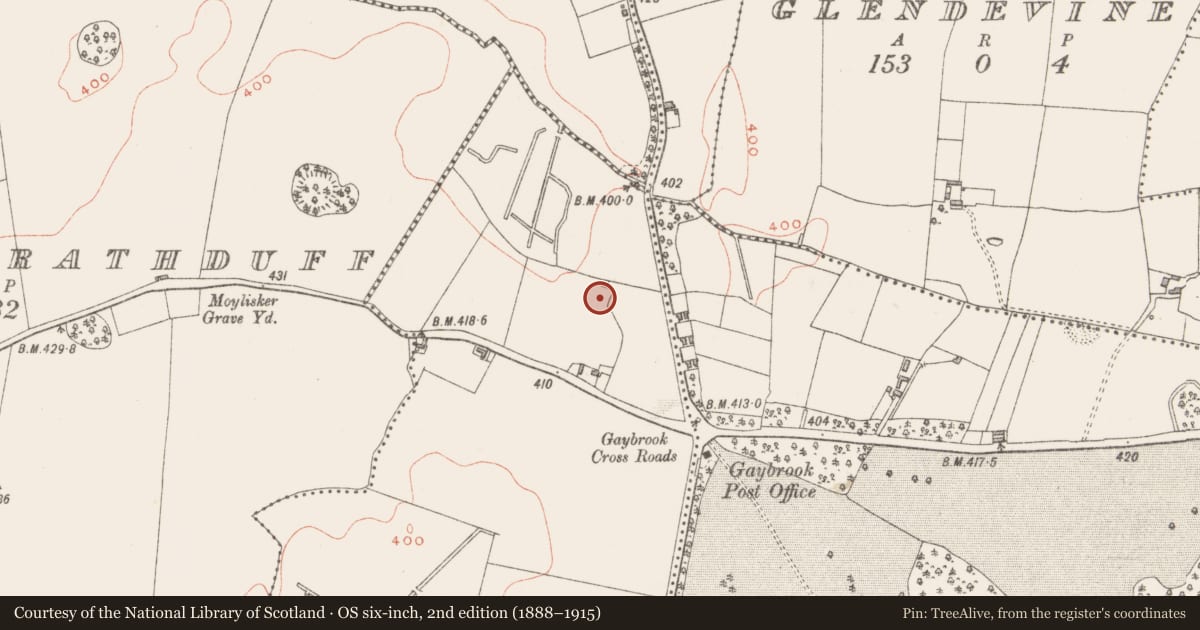 Ordnance Survey six-inch map, 2nd edition (1888–1915) covering the location of Ringfort - rath, Tyrrellstown, County Westmeath, with a pin at the register's coordinates