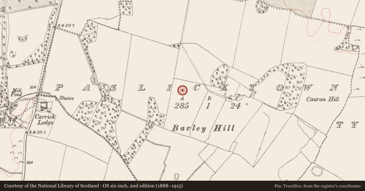 Ordnance Survey six-inch map, 2nd edition (1888–1915) covering the location of Ringfort - rath, Paslicktown, County Westmeath, with a pin at the register's coordinates