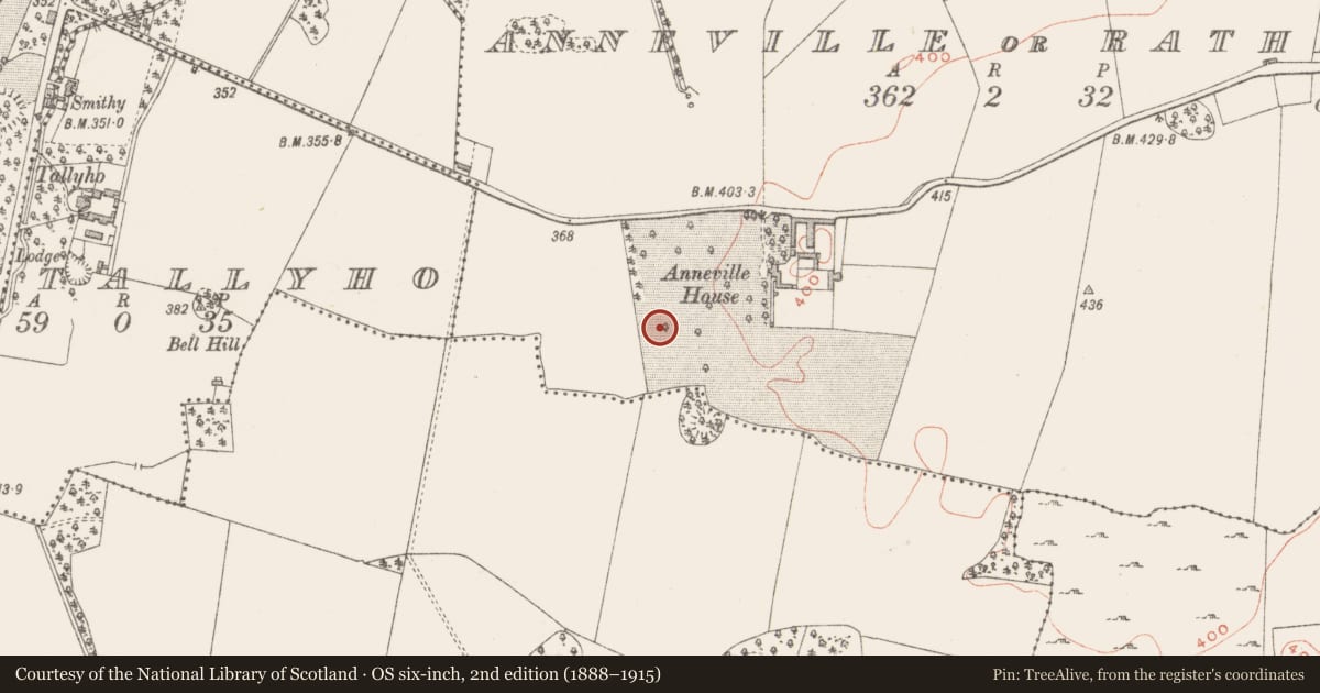 Ordnance Survey six-inch map, 2nd edition (1888–1915) covering the location of Ringfort - rath, Anneville Or Rathduff, County Westmeath, with a pin at the register's coordinates