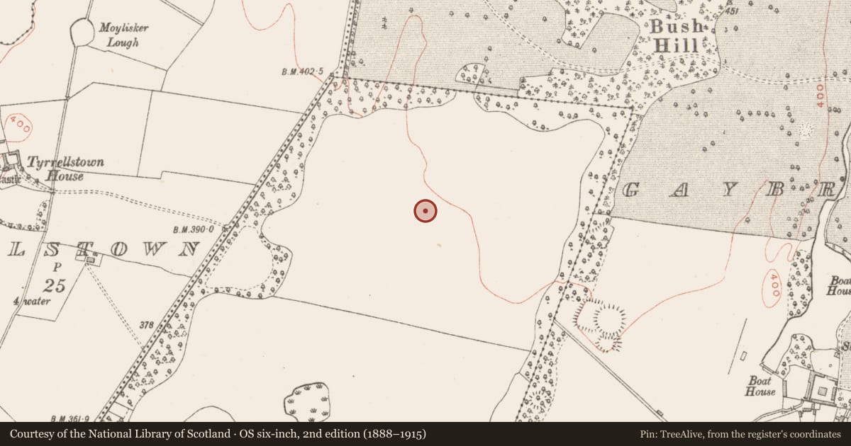 Ordnance Survey six-inch map, 2nd edition (1888–1915) covering the location of Earthwork, Simonstown, County Westmeath, with a pin at the register's coordinates