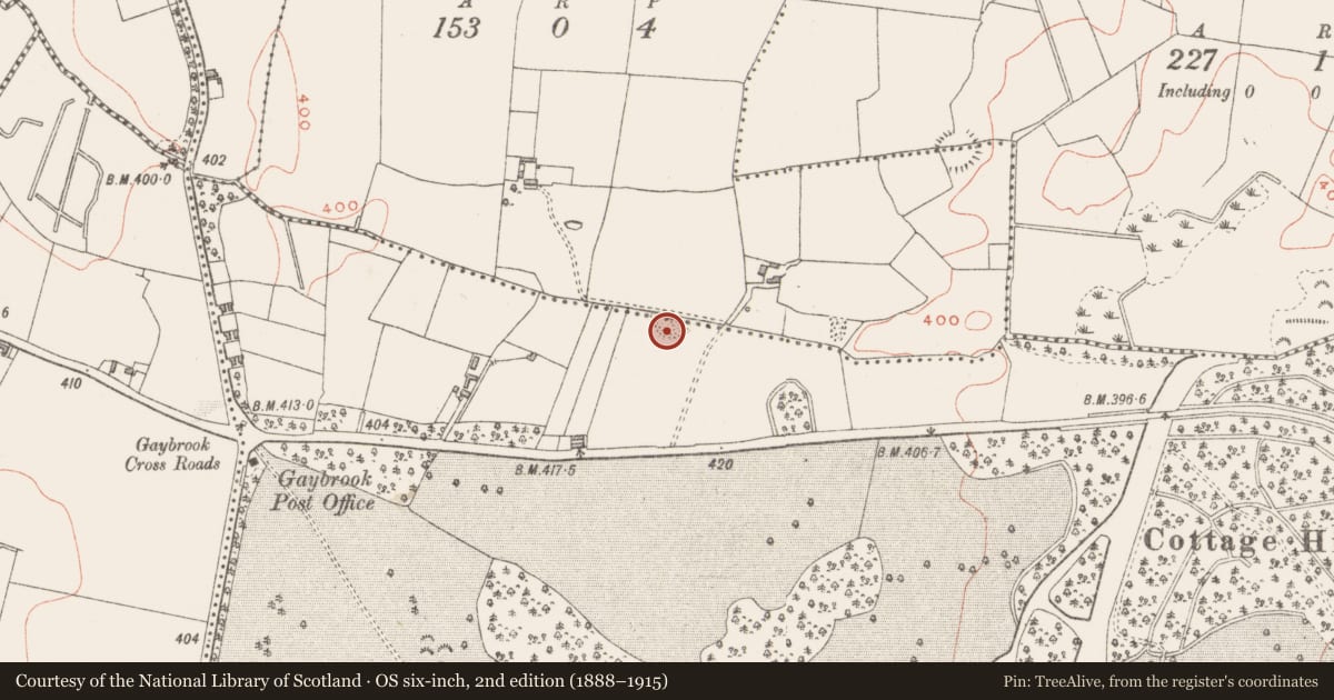 Ordnance Survey six-inch map, 2nd edition (1888–1915) covering the location of Enclosure, Gaybrook Demesne, County Westmeath, with a pin at the register's coordinates