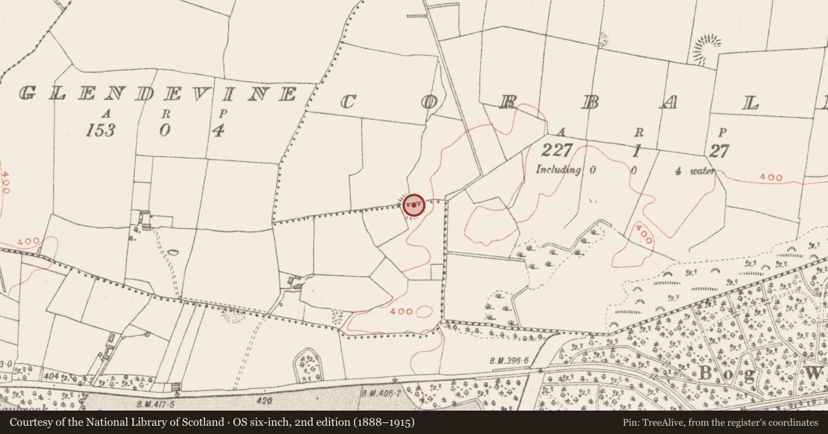 Ordnance Survey six-inch map, 2nd edition (1888–1915) covering the location of Ringfort - rath, Corbally/Glendevine, County Westmeath, with a pin at the register's coordinates