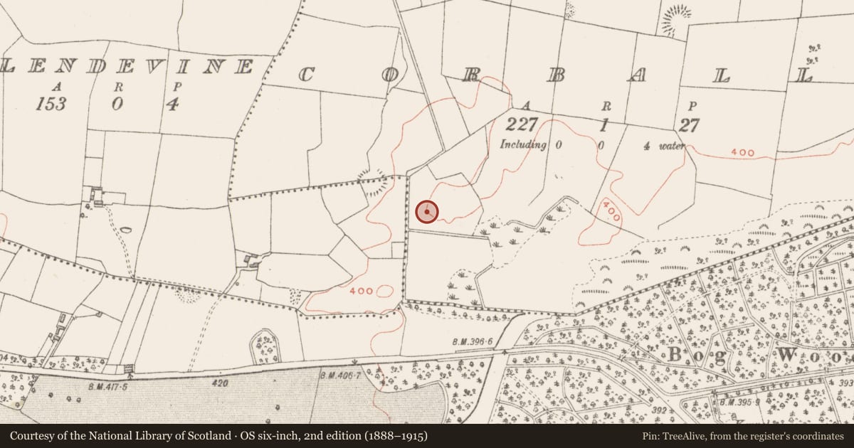 Ordnance Survey six-inch map, 2nd edition (1888–1915) covering the location of Fulacht fia, Corbally, County Westmeath, with a pin at the register's coordinates