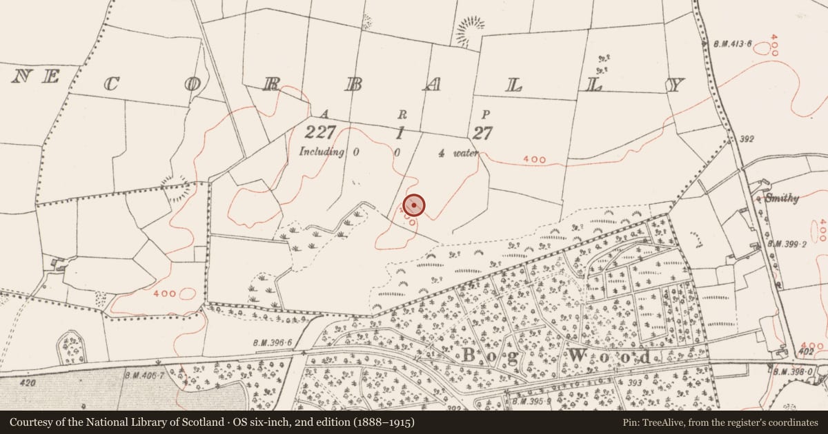 Ordnance Survey six-inch map, 2nd edition (1888–1915) covering the location of Hut site, Corbally, County Westmeath, with a pin at the register's coordinates