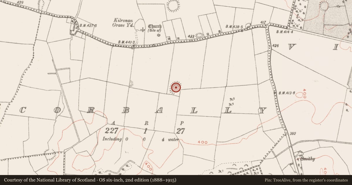 Ordnance Survey six-inch map, 2nd edition (1888–1915) covering the location of Ringfort - rath, Corbally, County Westmeath, with a pin at the register's coordinates