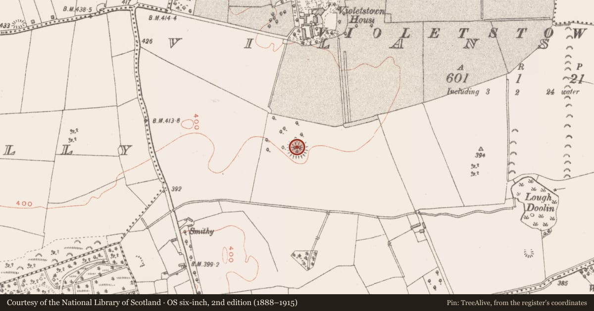 Ordnance Survey six-inch map, 2nd edition (1888–1915) covering the location of Ringfort - rath, Vilanstown, County Westmeath, with a pin at the register's coordinates