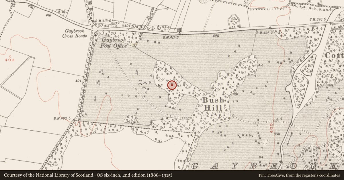 Ordnance Survey six-inch map, 2nd edition (1888–1915) covering the location of Designed landscape - tree-ring, Gaybrook Demesne, County Westmeath, with a pin at the register's coordinates
