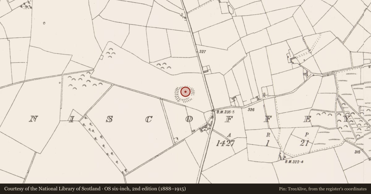 Ordnance Survey six-inch map, 2nd edition (1888–1915) covering the location of Ringfort - rath, Enniscoffey Or Caran, County Westmeath, with a pin at the register's coordinates