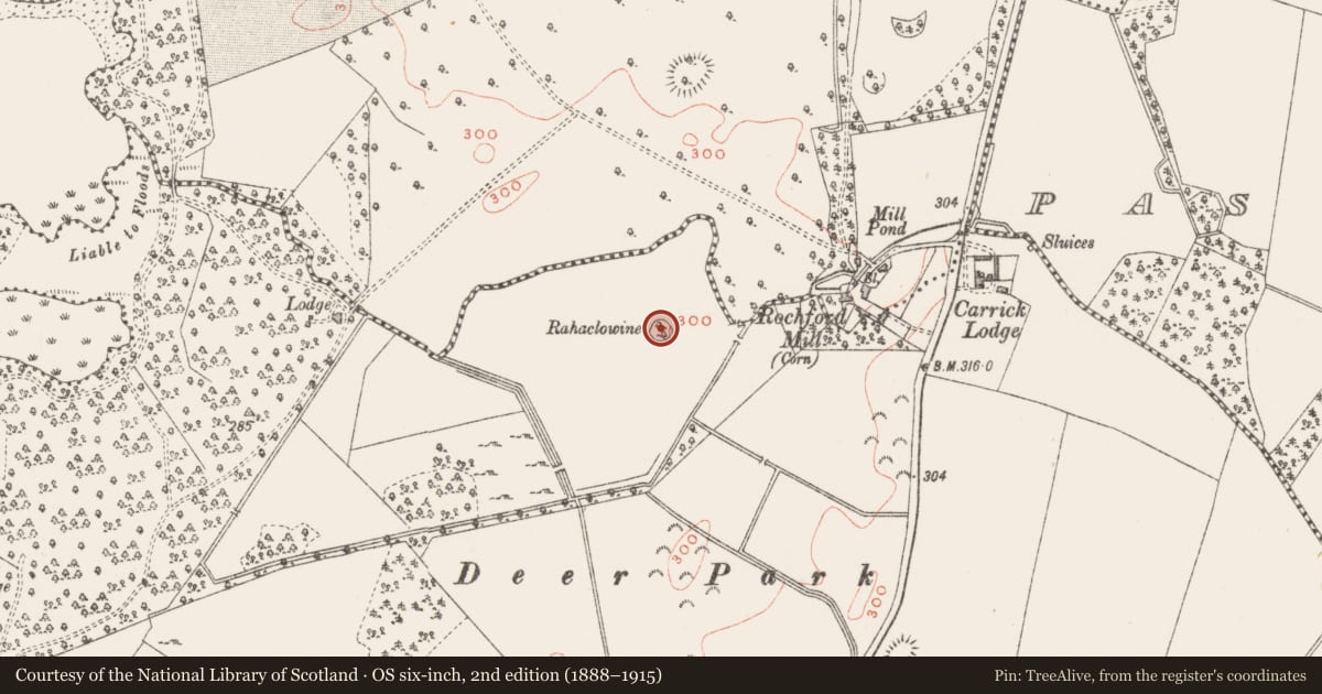 Ordnance Survey six-inch map, 2nd edition (1888–1915) covering the location of Ringfort - rath, Carrick, County Westmeath, with a pin at the register's coordinates