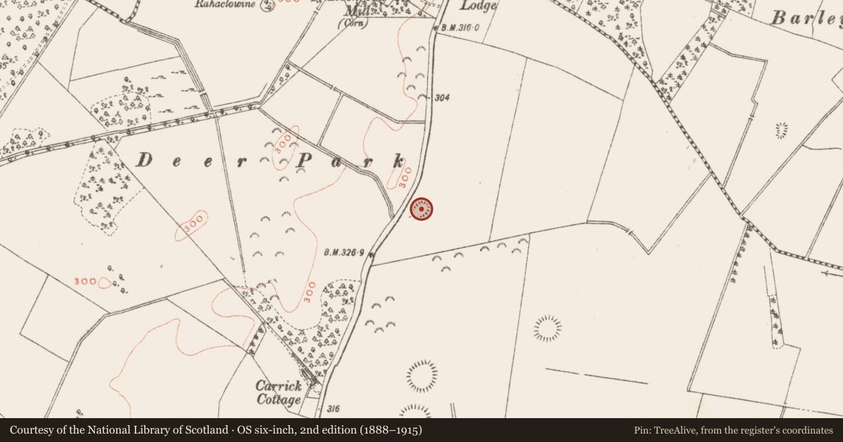 Ordnance Survey six-inch map, 2nd edition (1888–1915) covering the location of Ringfort - rath, Carrick, County Westmeath, with a pin at the register's coordinates