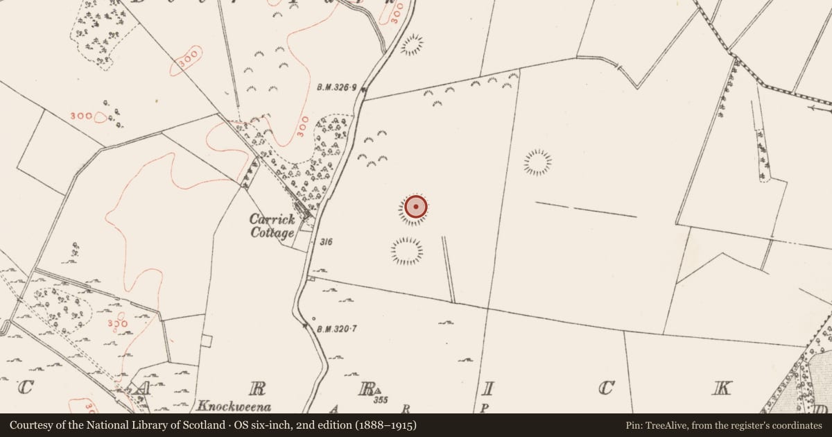 Ordnance Survey six-inch map, 2nd edition (1888–1915) covering the location of Ringfort - rath, Carrick, County Westmeath, with a pin at the register's coordinates