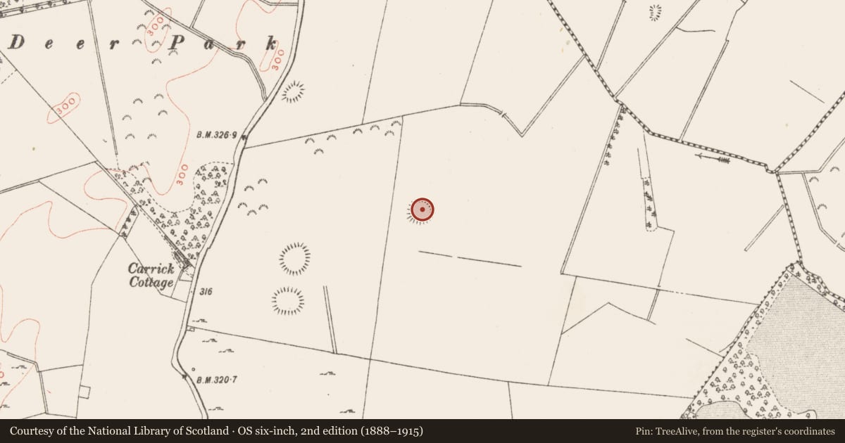 Ordnance Survey six-inch map, 2nd edition (1888–1915) covering the location of Ringfort - rath, Carrick, County Westmeath, with a pin at the register's coordinates