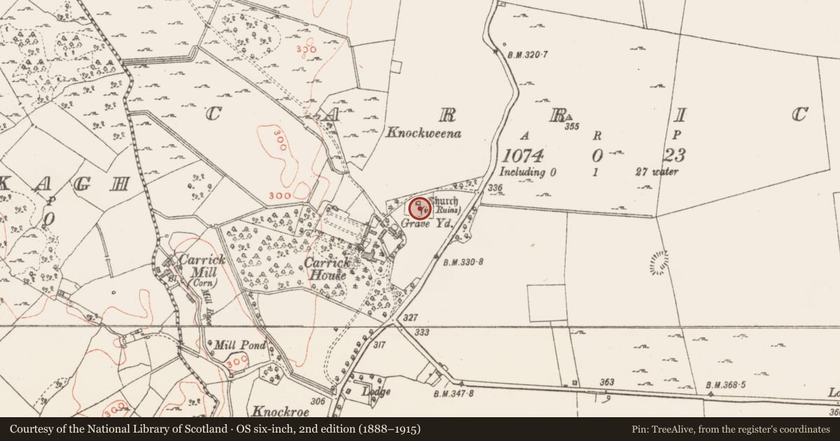 Ordnance Survey six-inch map, 2nd edition (1888–1915) covering the location of Graveyard, Carrick, County Westmeath, with a pin at the register's coordinates