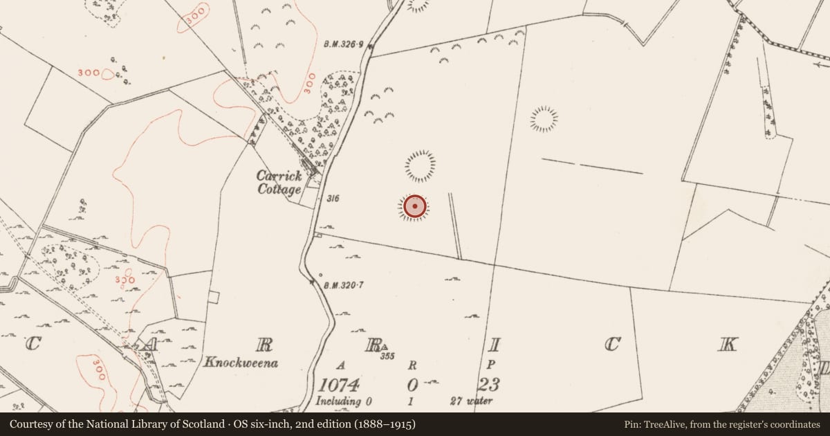 Ordnance Survey six-inch map, 2nd edition (1888–1915) covering the location of Ringfort - rath, Carrick, County Westmeath, with a pin at the register's coordinates