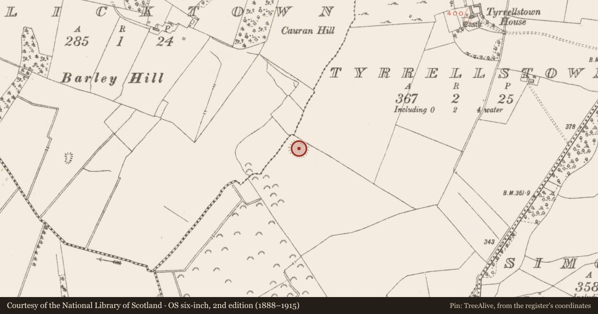 Ordnance Survey six-inch map, 2nd edition (1888–1915) covering the location of Ringfort - rath, Tyrrellstown, County Westmeath, with a pin at the register's coordinates