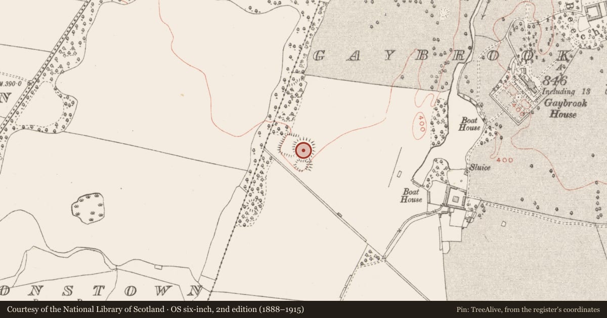 Ordnance Survey six-inch map, 2nd edition (1888–1915) covering the location of Enclosure, Gaybrook Demesne, County Westmeath, with a pin at the register's coordinates