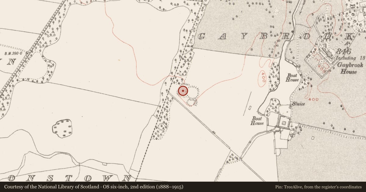 Ordnance Survey six-inch map, 2nd edition (1888–1915) covering the location of Enclosure, Gaybrook Demesne, County Westmeath, with a pin at the register's coordinates
