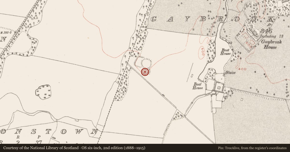 Ordnance Survey six-inch map, 2nd edition (1888–1915) covering the location of Enclosure, Gaybrook Demesne, County Westmeath, with a pin at the register's coordinates