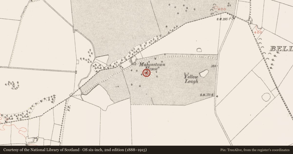 Ordnance Survey six-inch map, 2nd edition (1888–1915) covering the location of Ringfort - rath, Mahonstown, County Westmeath, with a pin at the register's coordinates