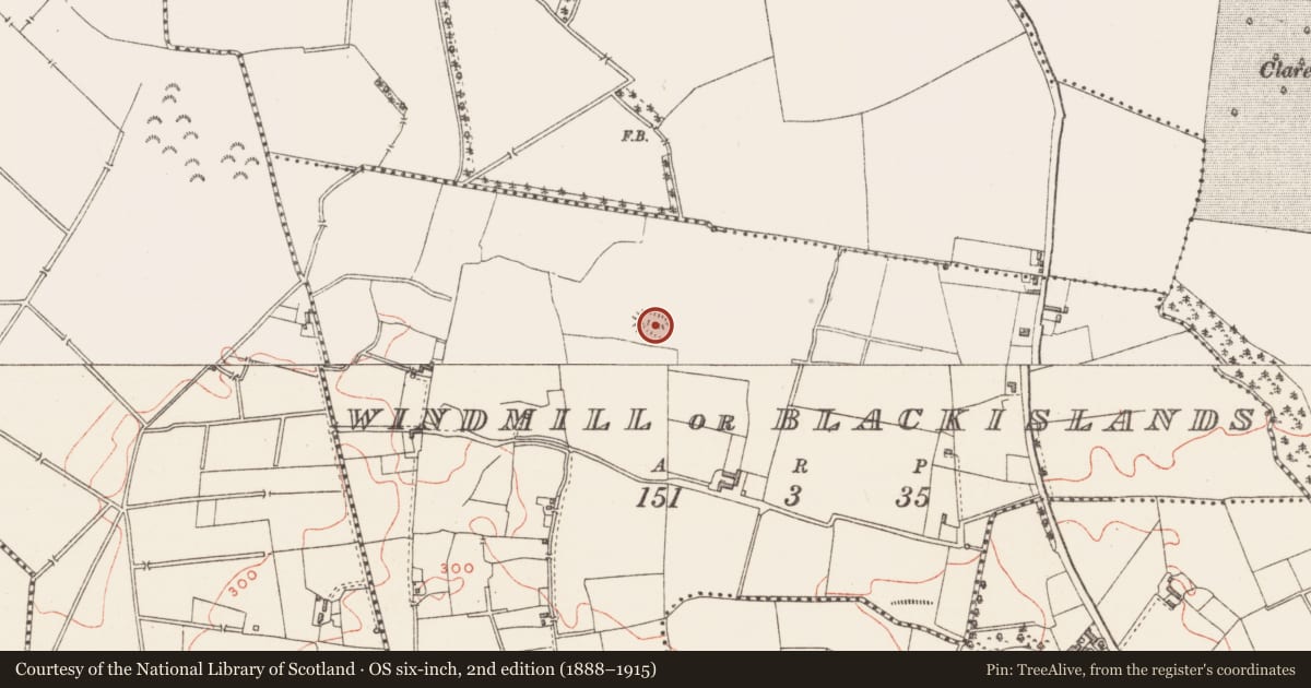 Ordnance Survey six-inch map, 2nd edition (1888–1915) covering the location of Ringfort - unclassified, Windmill Or Blackislands, County Westmeath, with a pin at the register's coordinates
