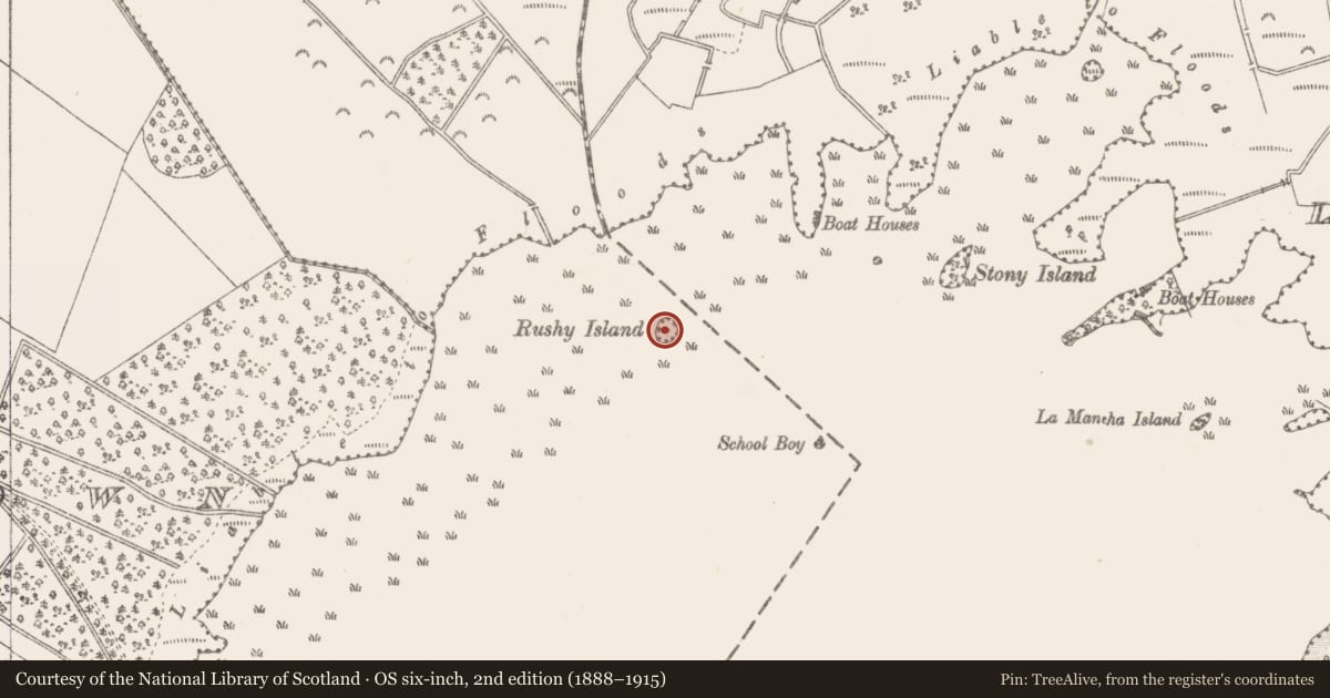 Ordnance Survey six-inch map, 2nd edition (1888–1915) covering the location of Crannog, Rushy Island (Lough Ennell), County Westmeath, with a pin at the register's coordinates