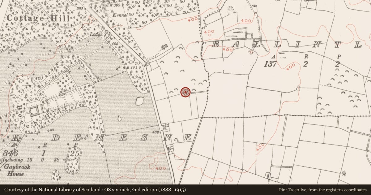 Ordnance Survey six-inch map, 2nd edition (1888–1915) covering the location of Ringfort - rath, Gaybrook Demense, County Westmeath, with a pin at the register's coordinates